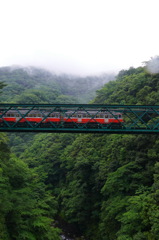 梅雨の出山鉄橋