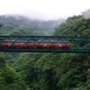 梅雨の出山鉄橋