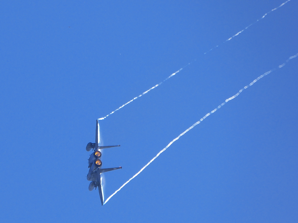 2014年エアフェスタ浜松　F15
