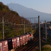 DL貨物と富士山