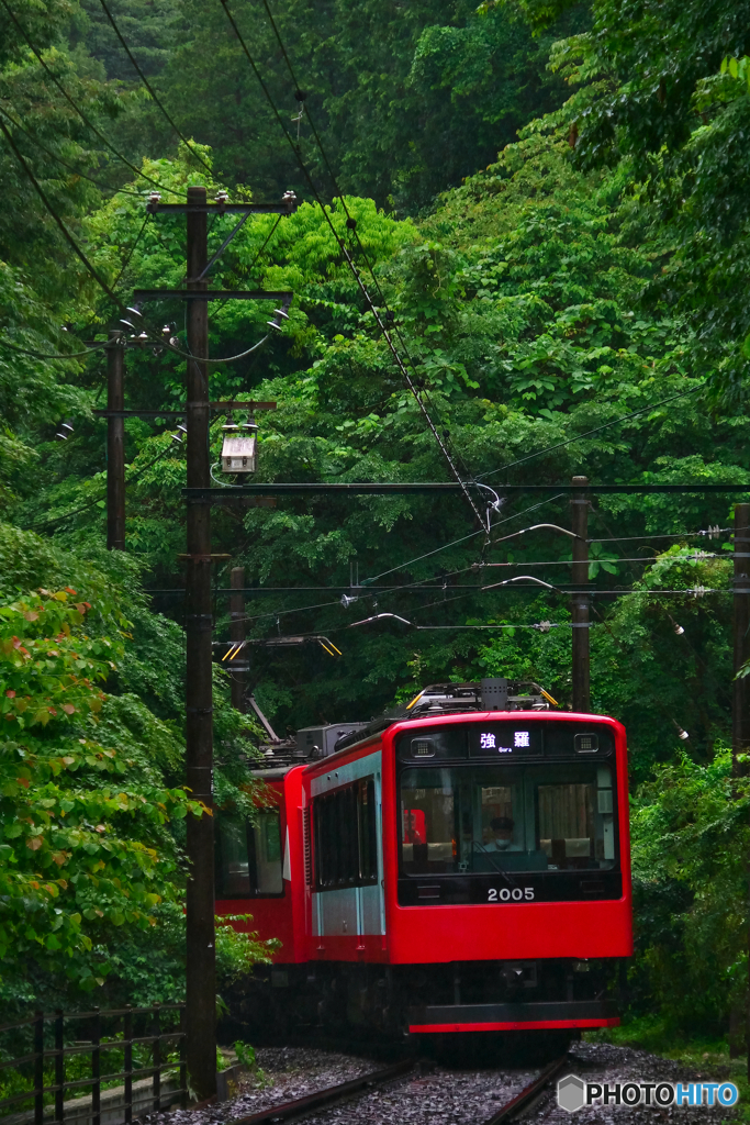 緑の中を走り抜ける・・箱根登山鉄道