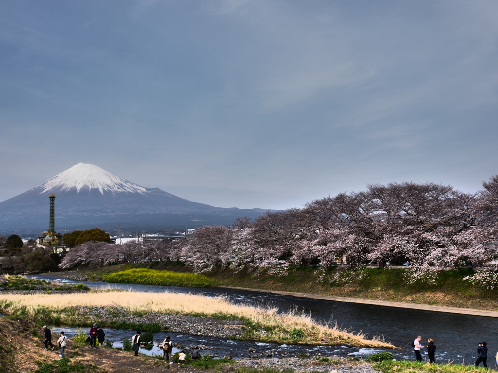 龍巌淵の春