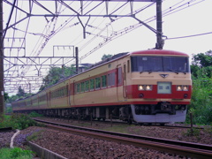 185系　あまぎ色