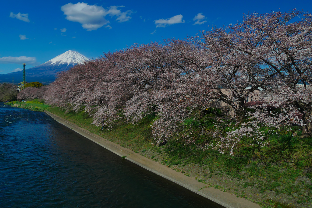 春の龍巌淵