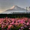 レンゲと富士と７００系と