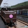 ED31喜寿