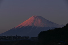 3.14の紅富士