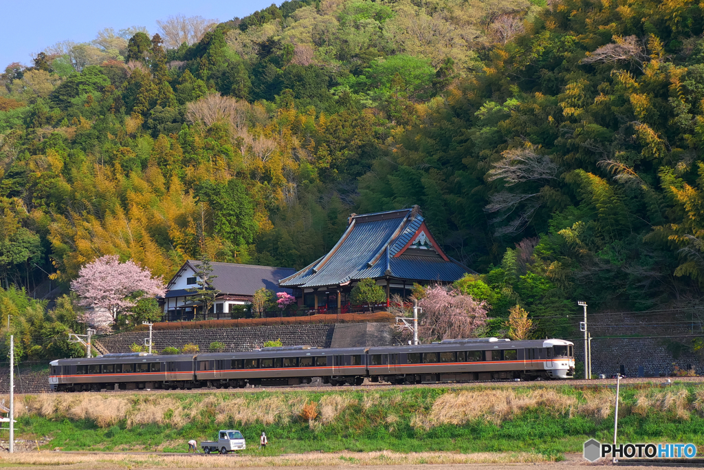 春の身延線