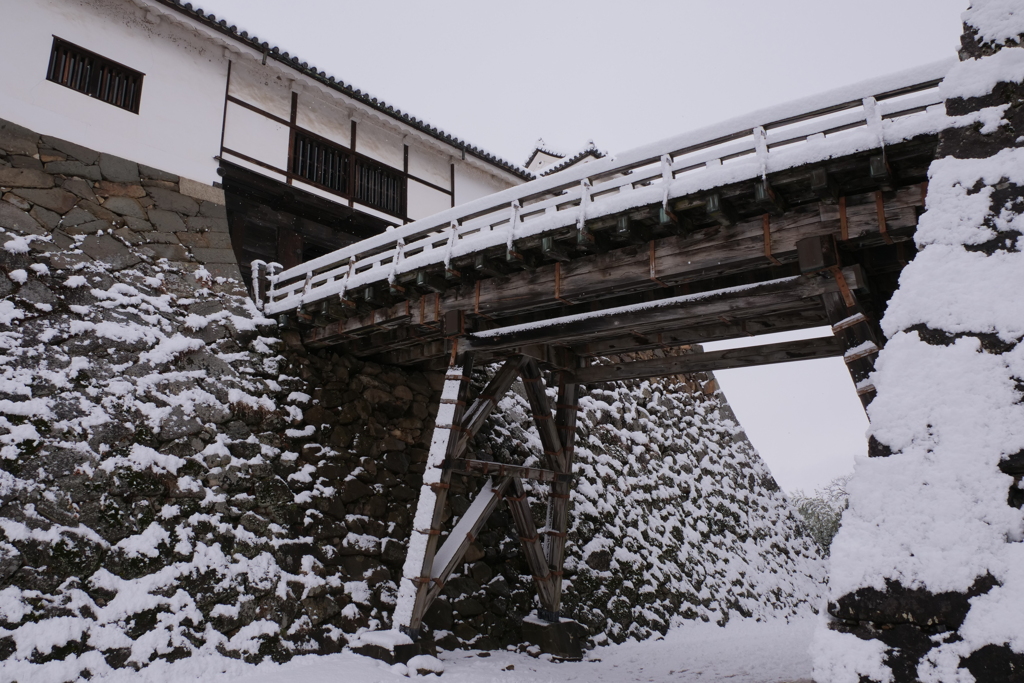 雪の彦根城