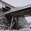 雪の彦根城