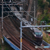 E655系　河津桜号