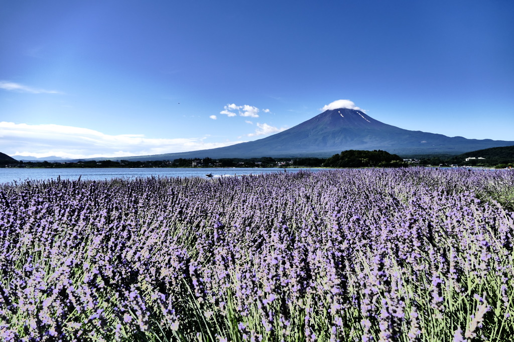 大石公園から富士山