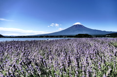 大石公園から富士山