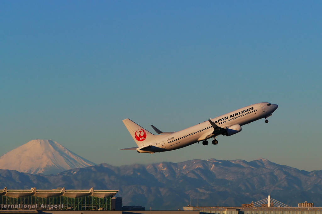 JALと富士山