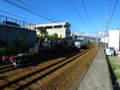 シキ