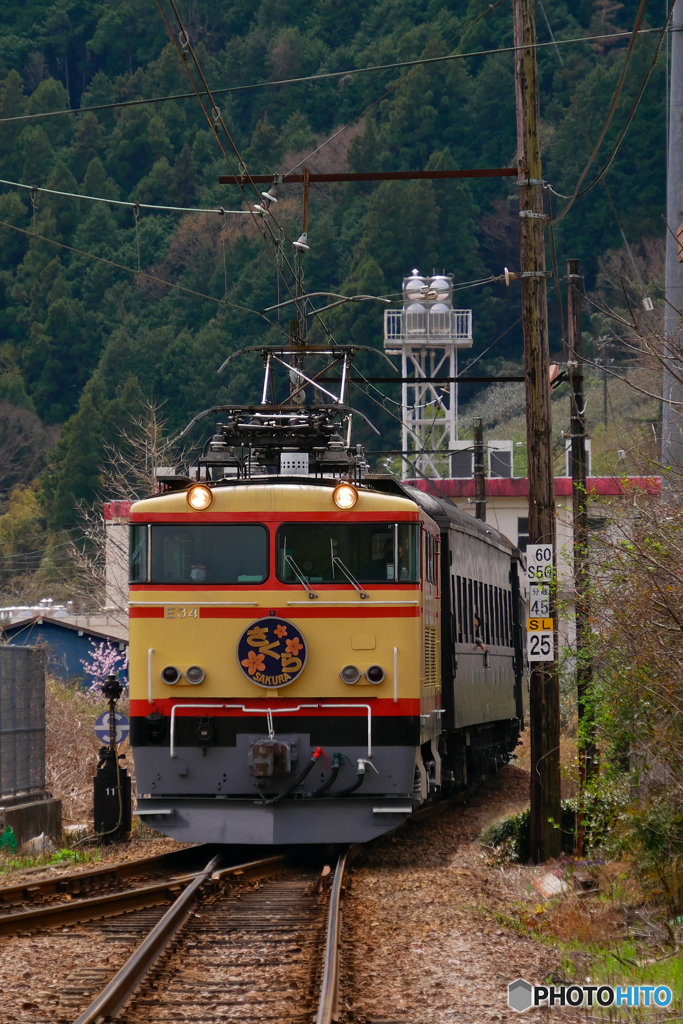 大井川鉄道急行さくら号