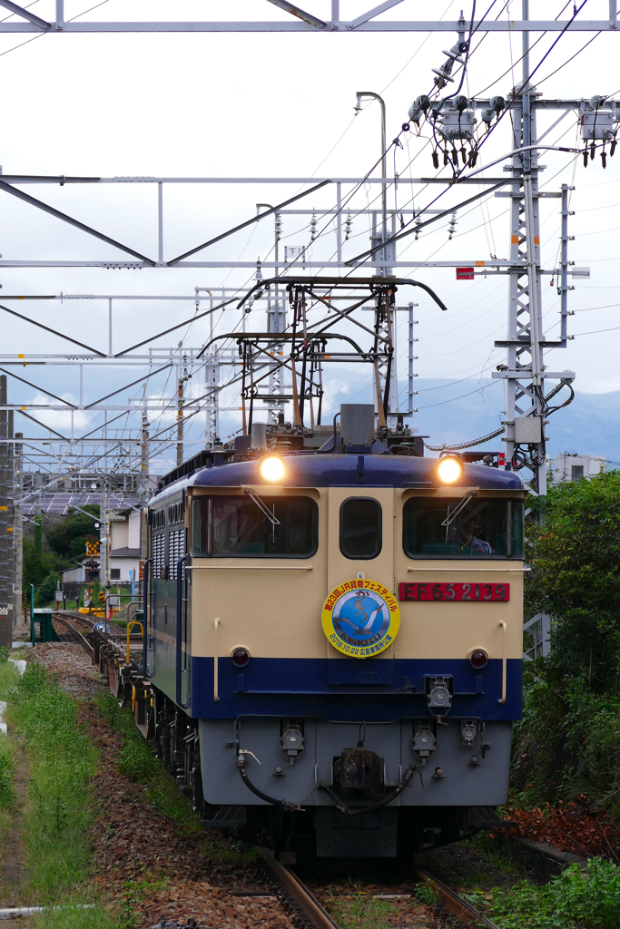 EF65-2139　HM付き　＠沼津