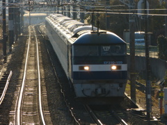 逆光東武甲種