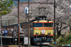 大井川鉄道　E34　さくら