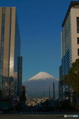 P1040384-1