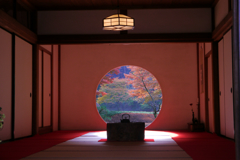 紅葉の明月院