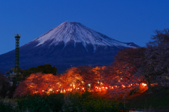 春の龍巌淵