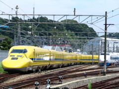 過去画像　ドクターイエロー