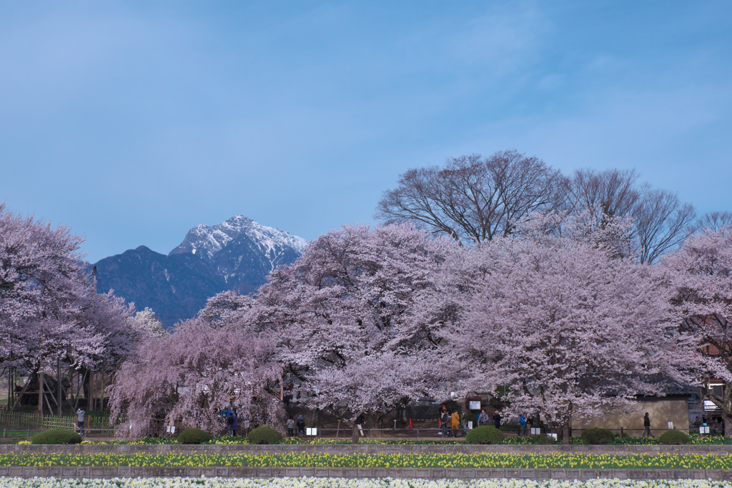 2024山高神2024