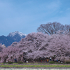 2024山高神2024