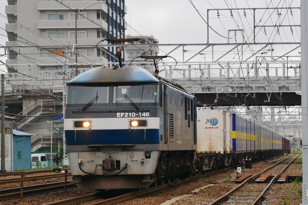 2059レカンガルーライナー