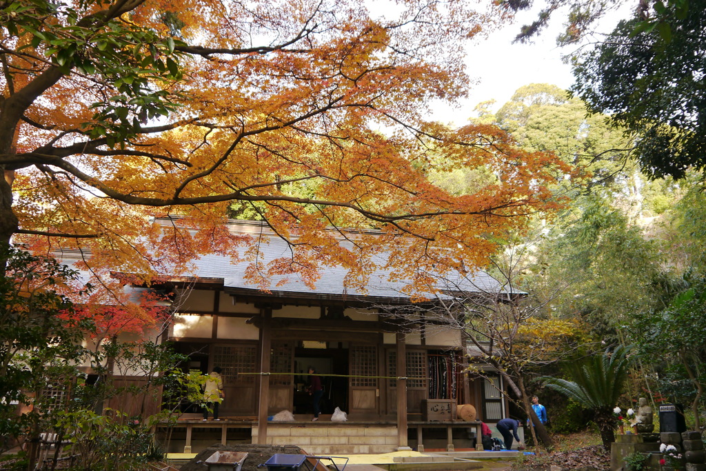 紅葉の円覚寺