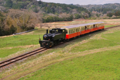 春のトロッコ列車
