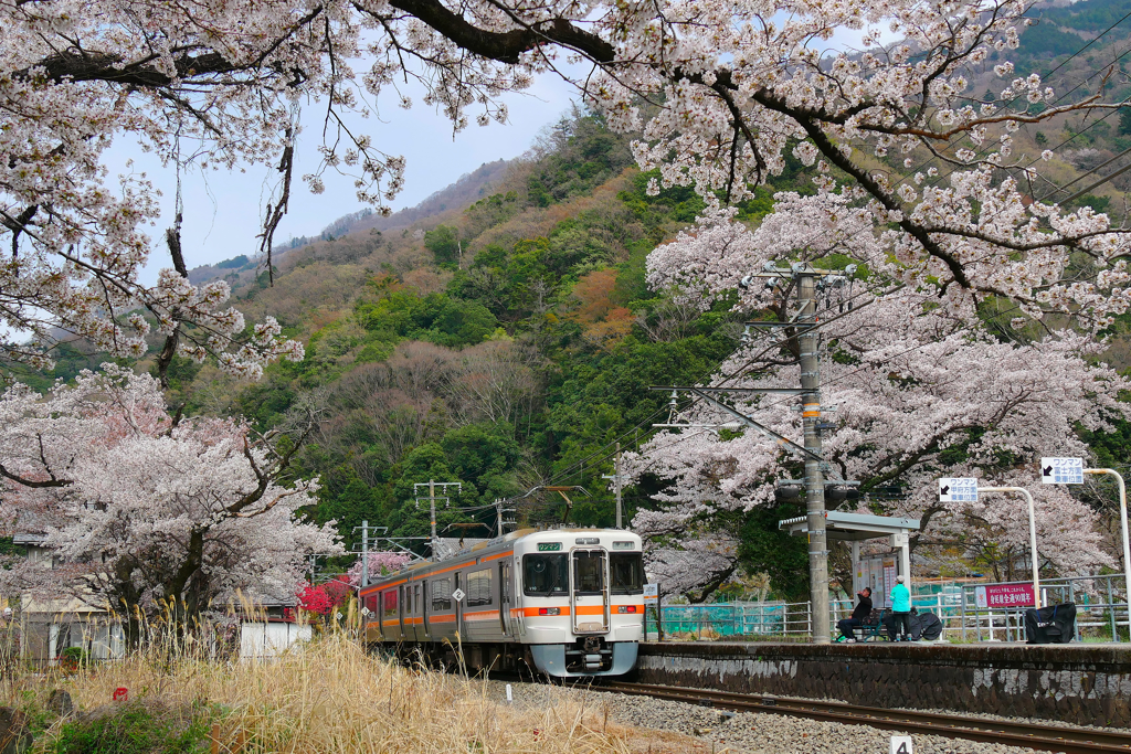 塩之沢の春