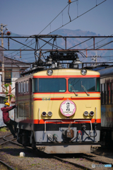 E34　さくら