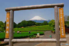 2021GWの富士山