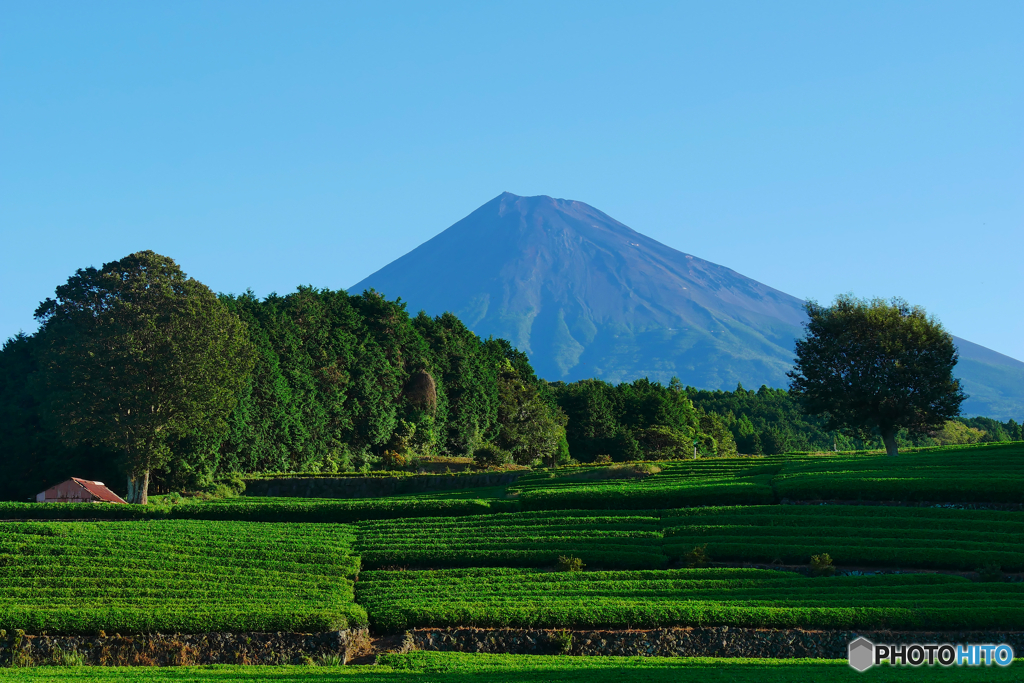 9/8の富士山