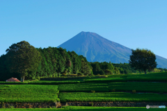 9/8の富士山