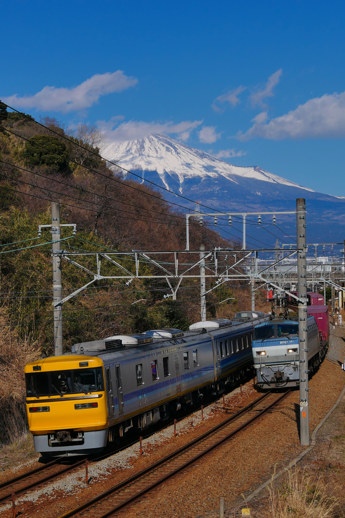 ドクター東海