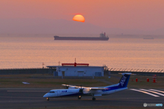 中部空港 　セントレア　Q400