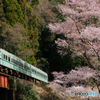 大井川鉄道