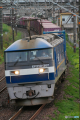 EF210-307　押桃