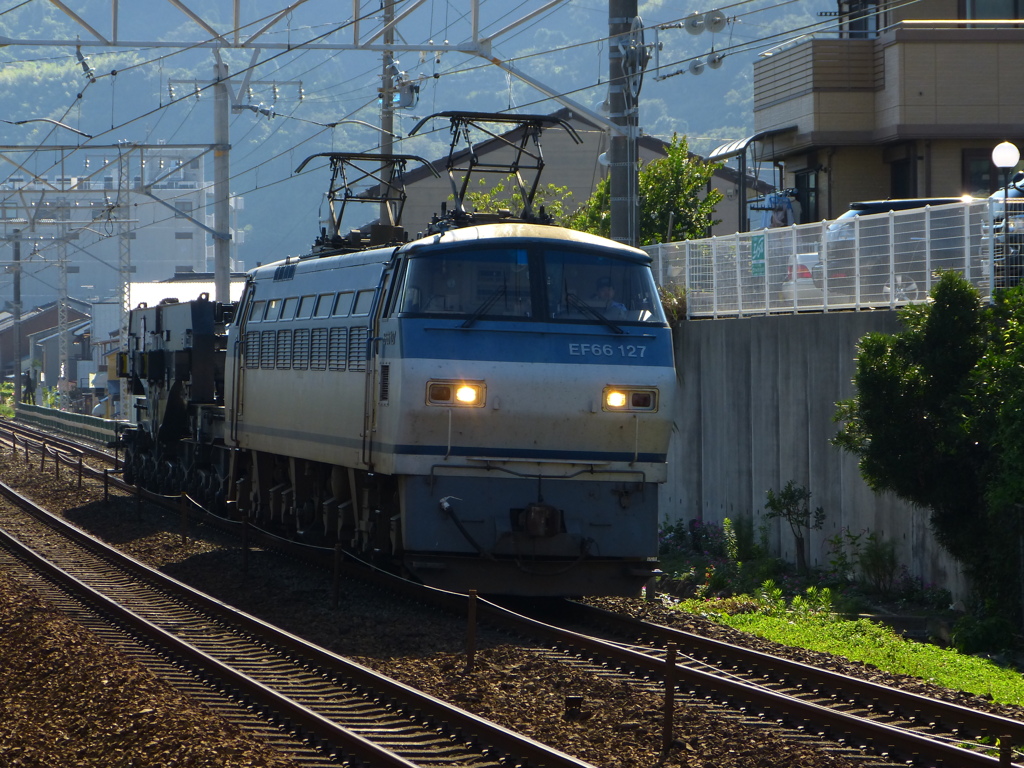 シキ