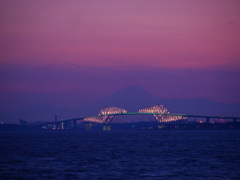 東京ゲートブリッジと富士山