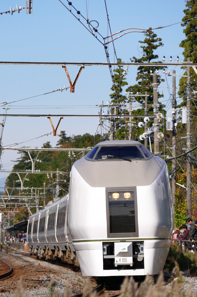 E651系　ぶらり横浜・鎌倉号