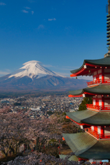 新倉山と笠富士