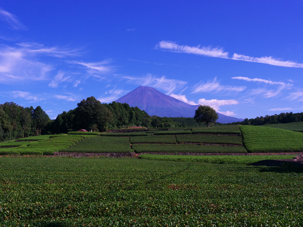 9.21の富士山