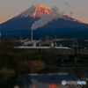 始発こだま号と富士山