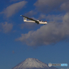 空　散歩