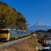 Dr東海　富士山