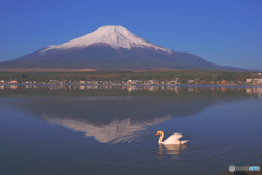山中湖